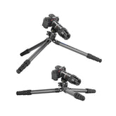 Leofoto Ranger LS-324C Carbon Fiber Tripod with Spider Bowl with LH-40 Ballhead